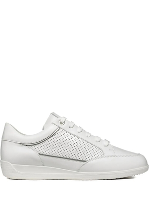 Geox Myria perforated leather sneakers - White