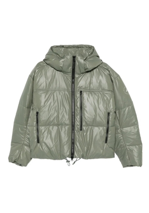adidas by Stella McCartney hooded puffer jacket - Green