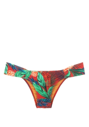 Lygia & Nanny Ritz botanical-print bikini bottoms - Red