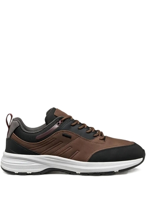 Geox logo-plaque sneakers - Brown