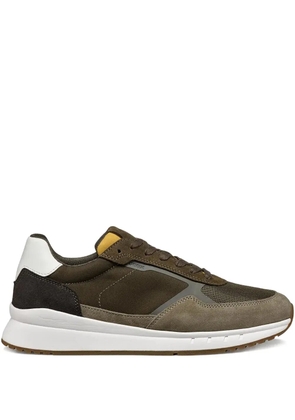 Geox Branthon panelled sneakers - Brown