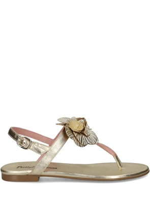 Pretty Ballerinas Tino sandals - Gold