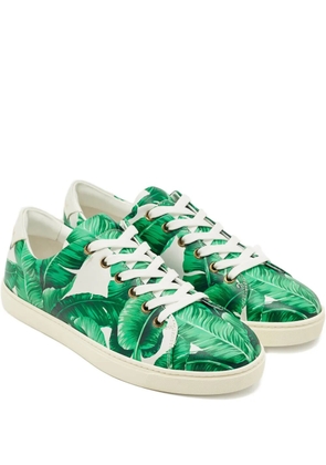 Dolce & Gabbana Pre-Owned banana leaf-print leather sneakers - Green