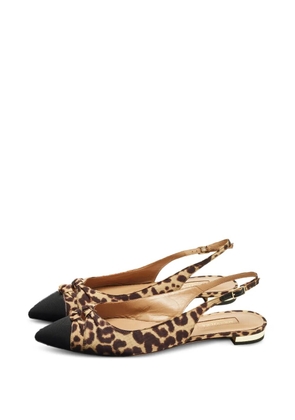Aquazzura animal-print slingback flat pumps - Brown