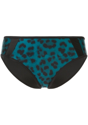 Duskii Océane Brief Bottoms - Blue