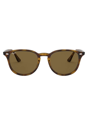 Ray-Ban RB4259 round-frame sunglasses - Brown