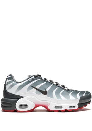Nike Air Max Plus sneakers - Grey