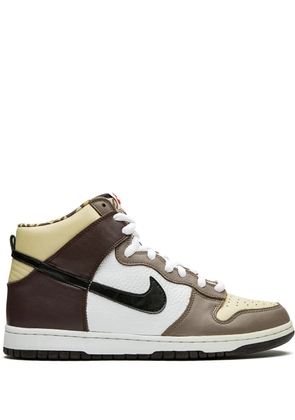 Nike Dunk High Pro SB 'Ferris Bueller' sneakers - Brown