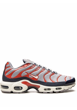 Nike Air Max Plus 'USA Grey' sneakers