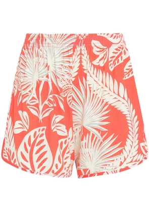 Lygia & Nanny Lee shorts - Orange