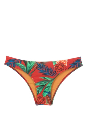 Lygia & Nanny Waikiki floral-print bikini bottoms - Red