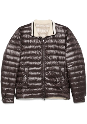 Herno quilted jacket - Brown