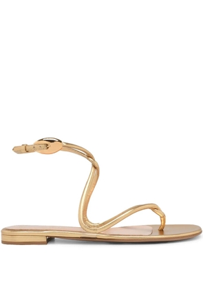 Gianvito Rossi Black Mamba sandals - Gold
