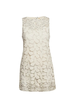 alice + olivia lace-overlay mini dress - White