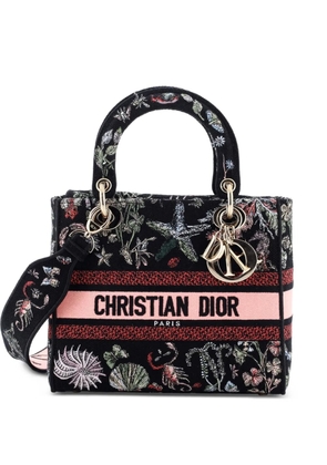 Christian Dior Pre-Owned Lady D-Lite Bag Embroidered Canvas Medium satchel - Black