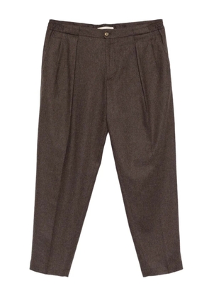 Briglia 1949 Portobello pleat-detail trousers - Brown