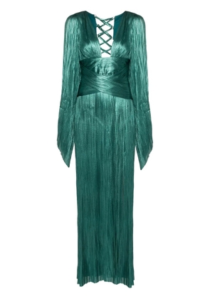 Maria Lucia Hohan Alana plissé silk gown - Green
