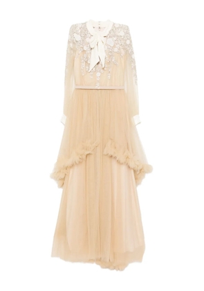 Saiid Kobeisy embroidered velvet gown - Neutrals