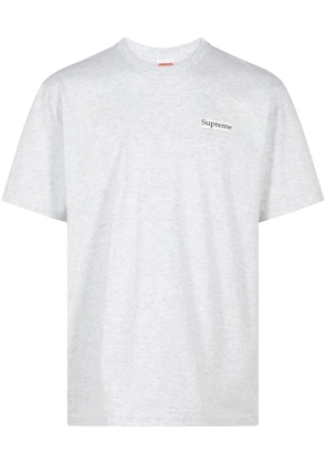 Supreme Blowfish cotton T-shirt - Grey