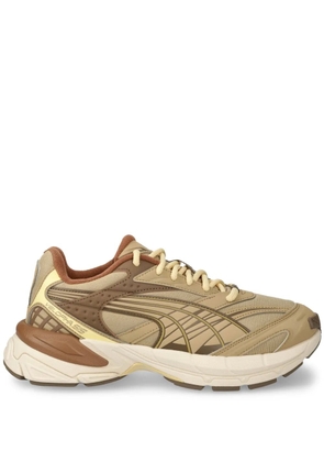 PUMA Velophasis Earth sneakers - Brown