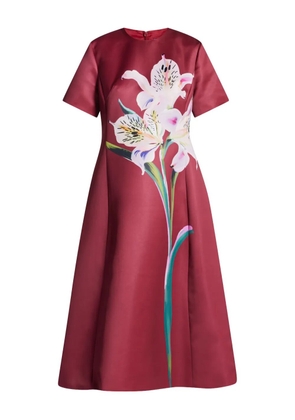 Leo Lin Caroline floral-print short-sleeve dress - Red