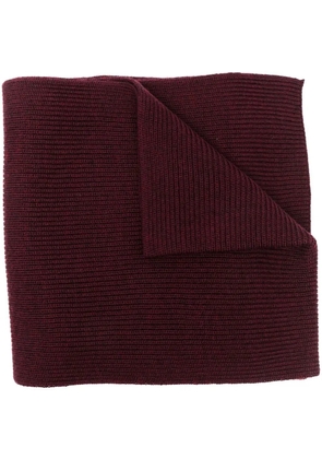 Polo Ralph Lauren ribbed embroidered-logo scarf