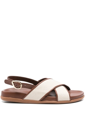Ancient Greek Sandals Ikesia sandals - Brown