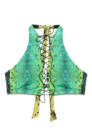 Noire Swimwear snake-print bikini top - Green