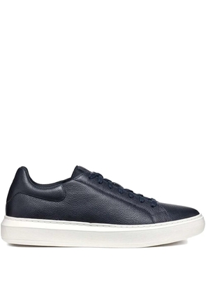 Geox Zackerty sneakers - Blue
