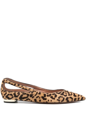 Aquazzura leopard-print ballet flats - Brown