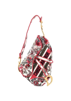 Christian Dior Pre-Owned Saddle Bag Logo Embroidered Canvas Medium shoulder bag - Multicolour