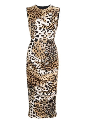 Roberto Cavalli jaguar-print gathered midi dress - Brown