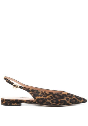 Gianvito Rossi Robbie ballet flats - Brown