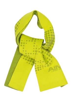 Aimé Leon Dore wool scarf - Green