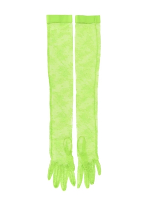 Gianvito Rossi lace gloves - Green