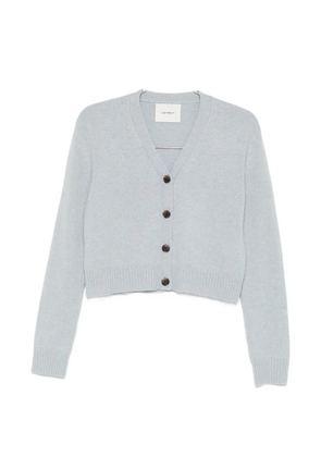 Lisa Yang Marion V-neck cardigan - Blue