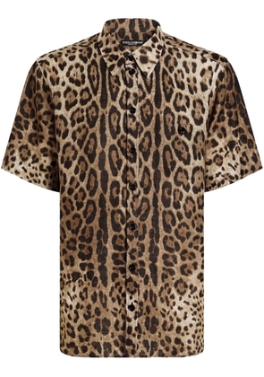 Dolce & Gabbana leopard-print shirt - Brown