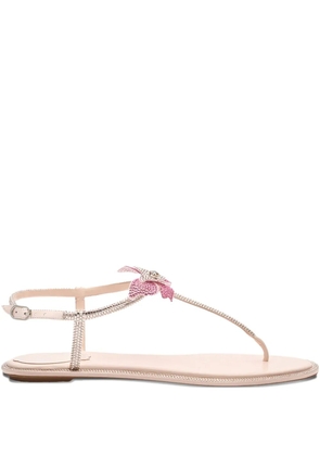 René Caovilla Fairy flat sandals - Pink