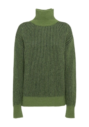 Tela ribbed-knit sweater - Green