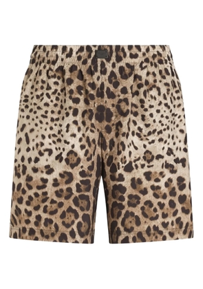 Dolce & Gabbana leopard-print swim shorts - Neutrals
