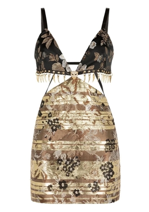 Roberto Cavalli floral-jacquard minidress - Brown