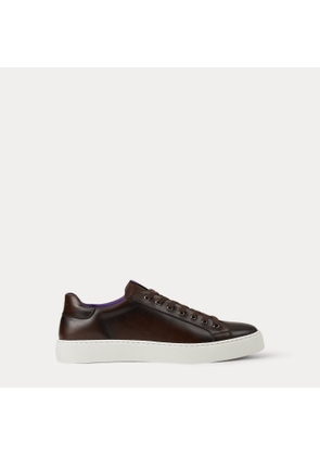 Severn Burnished Calfskin Trainer