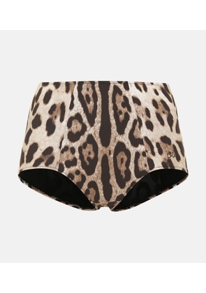 Dolce&Gabbana Leopard-print bikini bottoms