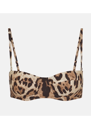 Dolce&Gabbana Leopard-print bikini top