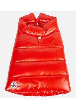 Moncler Moncler Poldo Dog Couture dog coat