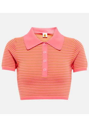 Tropic of C Sierra striped crop top