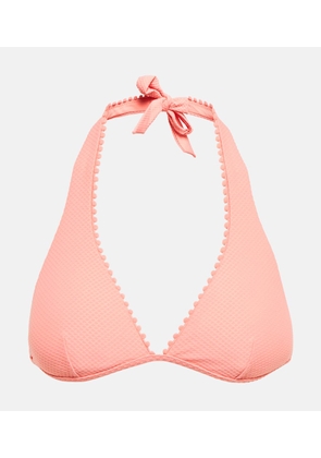 Heidi Klein Rosa Polyantha halterneck bikini top