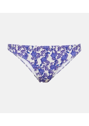 Isabel Marant Saly bikini bottoms