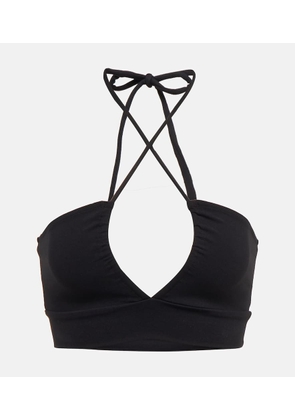Live The Process Astra sports bra