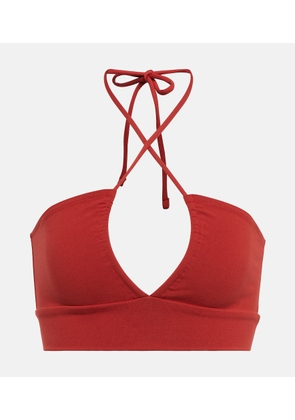 Live The Process Astra sports bra